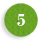 5 5